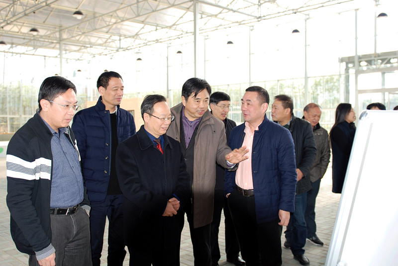 1514538609439956.jpg 1.jpg